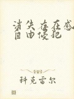 消失存在感消失自由侵犯