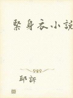 紧身衣小说