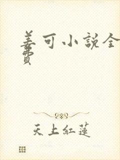 姜可小说全文免费