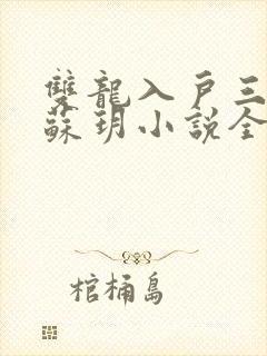 双龙入户三人行苏玥小说全文阅读