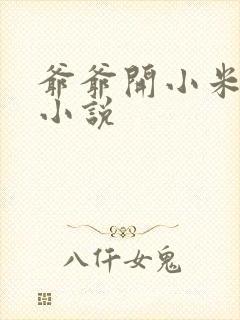 爷爷开小米的包小说