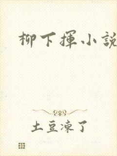 柳下挥小说