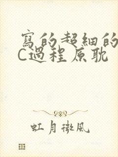 写的超细的多肉C过程原耽