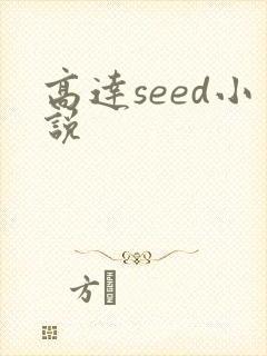 高达seed小说