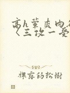 高h荤爽肉欲文〈三攻一受〉视频
