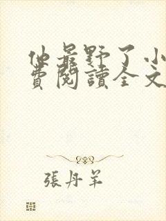 他最野了小说免费阅读全文