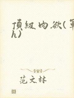 顶级肉欲(军高h)