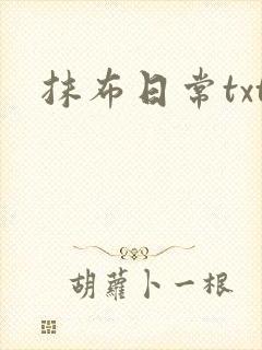 抹布日常txt