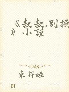 《叔叔,别撩我》小说