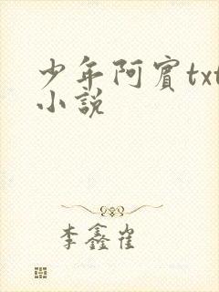 少年阿宾txt小说