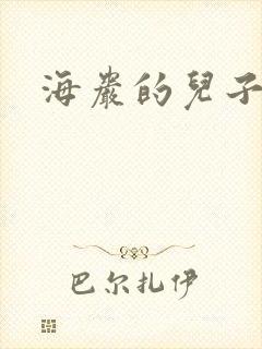 海岩的儿子