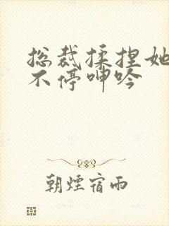 总裁揉捏她两乳不停呻吟