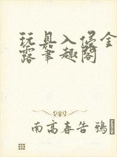 玩具入侵金银花露笔趣阁