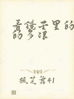 看镜子里的你叫的多浪