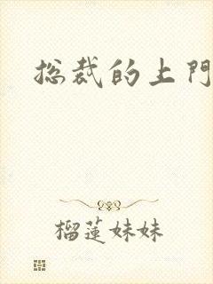 总裁的上门女婿