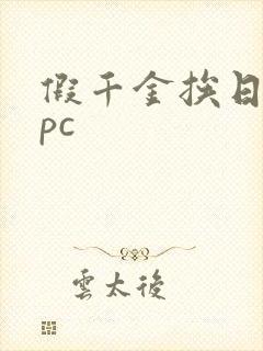 假千金挨日记npc