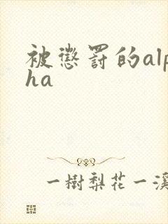 被惩罚的alpha