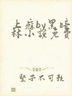 上瘾by黑暗森林小说免费