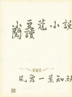 小豆蔻小说全文阅读