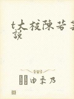 t大校陈若芸小说