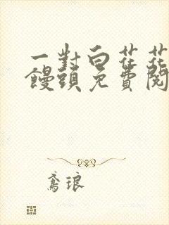 一对白花花的大馒头免费阅读