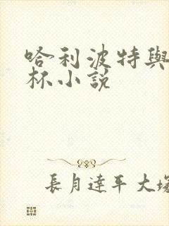 哈利波特与火焰杯小说