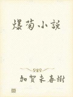 爆菊小说