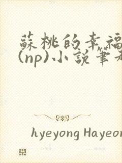 苏桃的幸福生活(np)小说笔趣阁沐沐