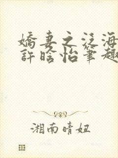 娇妻之泛海之舟许晗怡笔趣阁