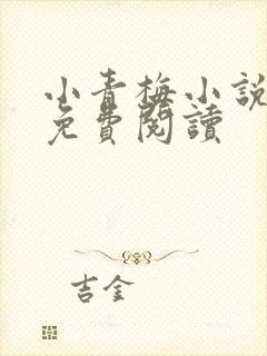 小青梅小说全文免费阅读
