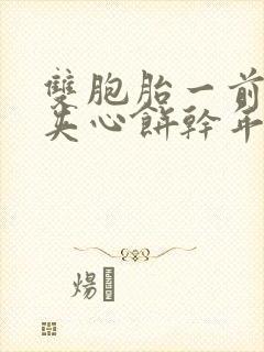 双胞胎一前一后夹心饼干年下