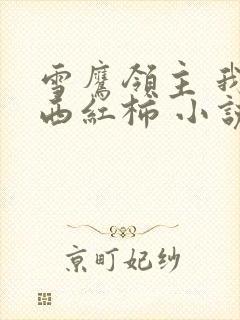 雪鹰领主 我吃西红柿 小说