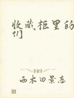 收藏柜里的男人们