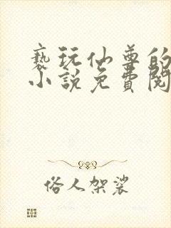 亵玩仙尊的道侣小说免费阅读