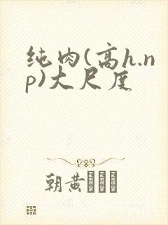 纯肉(高h.np)大尺度
