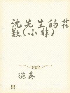 沈先生的花式调数(小非)