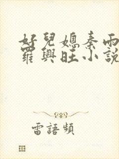 好儿媳秦雨罗明罗兴旺小说