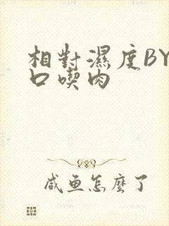 相对湿度BY大口吃肉