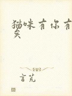 猫咪有你有我足矣
