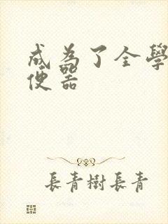 成为了全学校坐便器