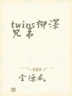 twins柳泽兄弟