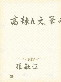 高辣h文笔趣阁