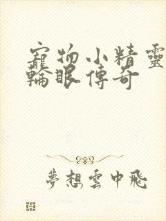 宠物小精灵之写轮眼传奇
