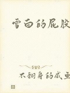 雪白的屁股小说