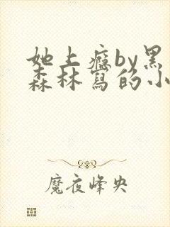 她上瘾by黑暗森林写的小说免费阅读无弹窗