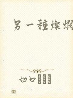 另一种灿烂生活