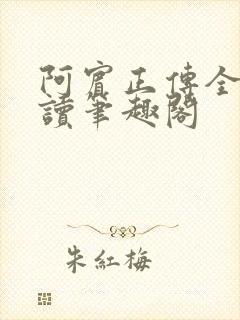 阿宾正传全文阅读笔趣阁