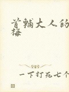 首辅大人的小青梅封面