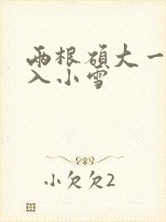 两根硕大一起挤入小雪