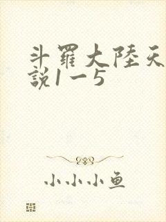 斗罗大陆天狂传说1一5